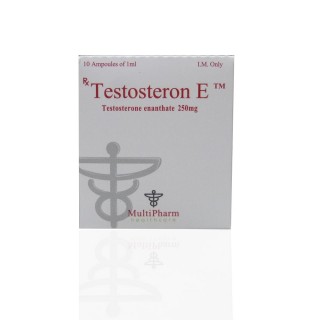 Testosterone E 250 mg Multi Pharm